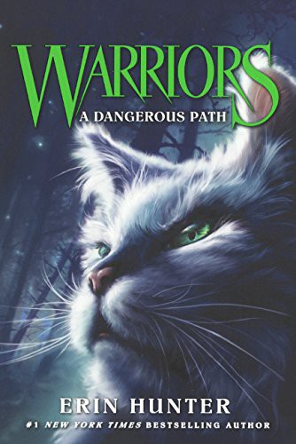 Cover of A Dangerous Path