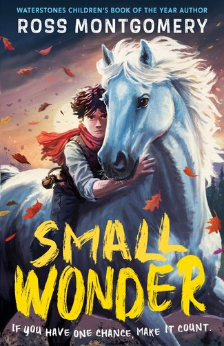 Cover of Small Wonder